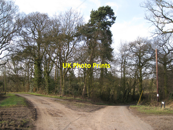 Photo 6"x4" Fragment of woodland by Kite's Nest Lane Waste Green c2010