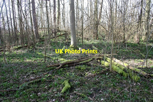 Photo 6"x4" The Ridings on Brierley Hill Woodmancote\/SO9042 c2010