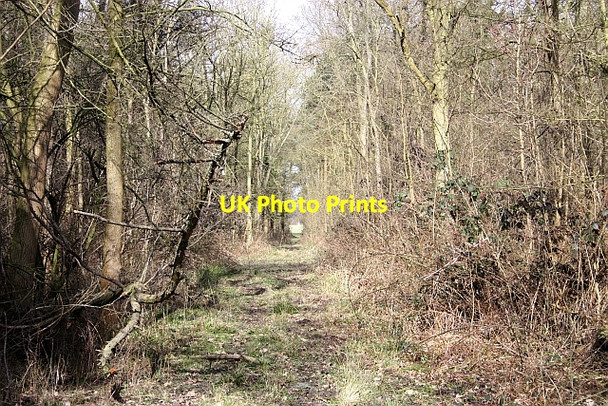 Photo 6"x4" Bridleway through The Ridings Woodmancote\/SO9042 c2010
