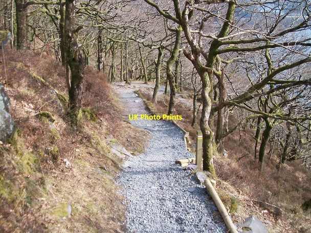 Photo 6"x4" The descent in the direction of the Dinorwig Quarry Hospital Llanberis c2010