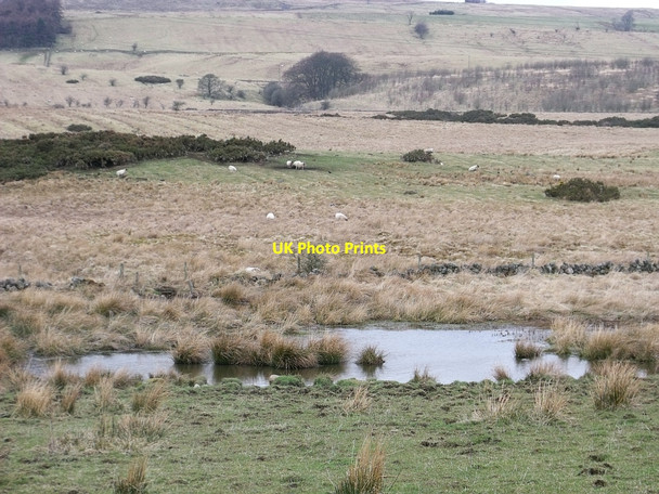 Photo 6"x4" Kilsyth Battlefield, Drum Burn Kilsyth c2010