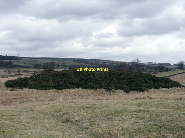 Photo 6"x4" Kilsyth battlefield, Slaughter Howe Kilsyth c2010