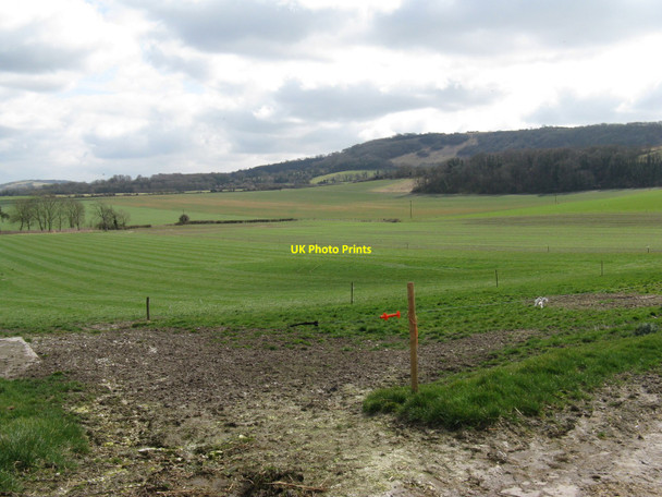 Photo 6"x4" View SE across grass fields from Warningore Farm Plumpton\/TQ3613 c2010