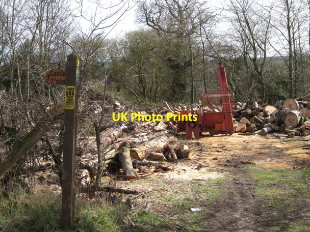 Photo 6"x4" Clearing trees, Hill Farm, Beausale Beausale c2010