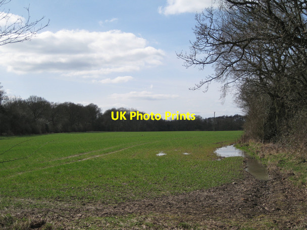 Photo 6"x4" Waterlogged field, Beausale Beausale c2010