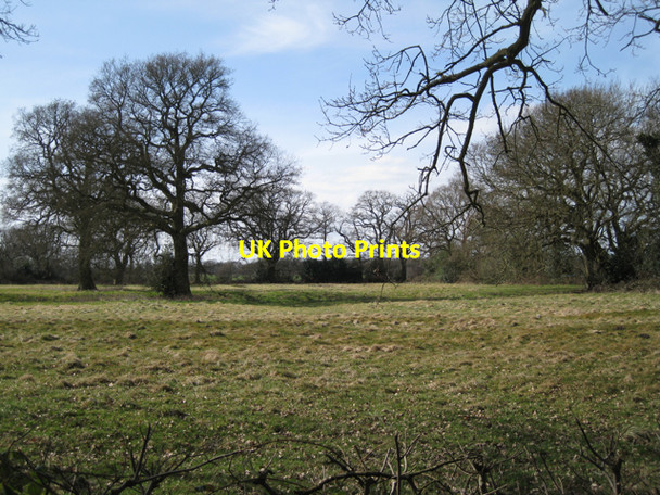 Photo 6"x4" Meadow south of Beausale Beausale c2010