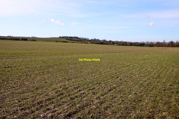 Photo 6"x4" Looking over a field towards Lark Hill Wantage c2010