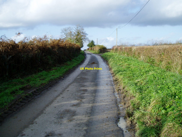 Photo 6"x4" North on Green Lane Chard c2009