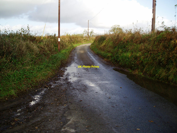 Photo 6"x4" Cotley Lane Chard c2009