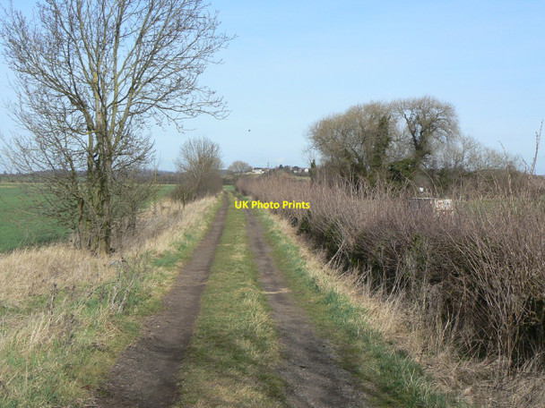 Photo 6"x4" Footpath from Bunny Bunny c2010