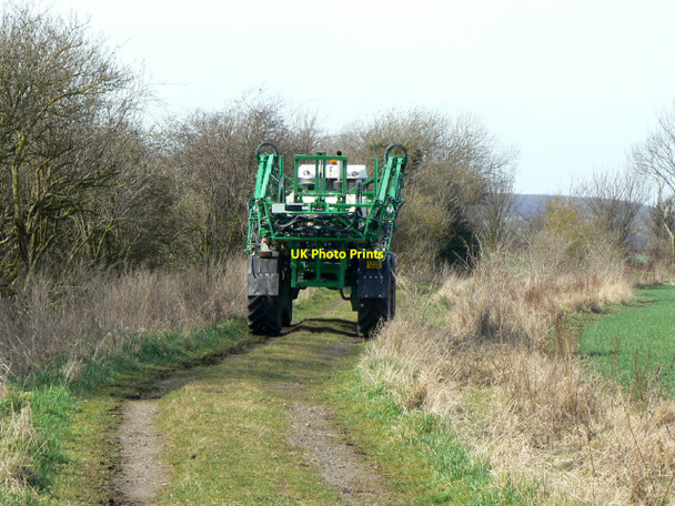 Photo 6"x4" Moor Lane, Bunny Bunny c2010