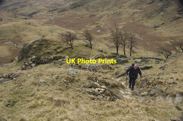 Photo 6"x4" The path up Birk Fell Little Langdale c2010