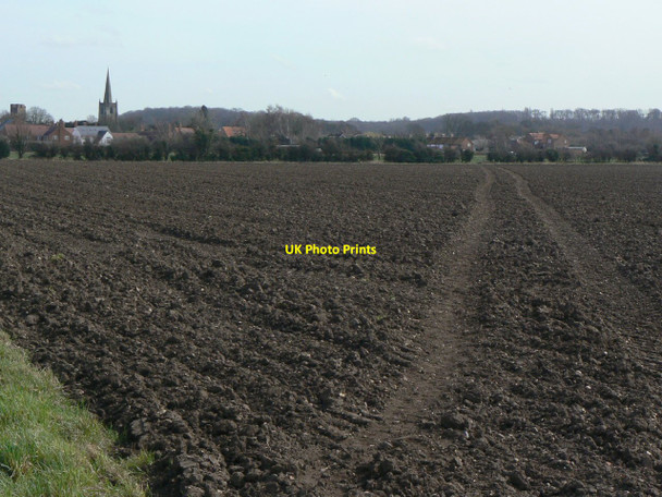 Photo 6"x4" Field Footpath Bunny c2010