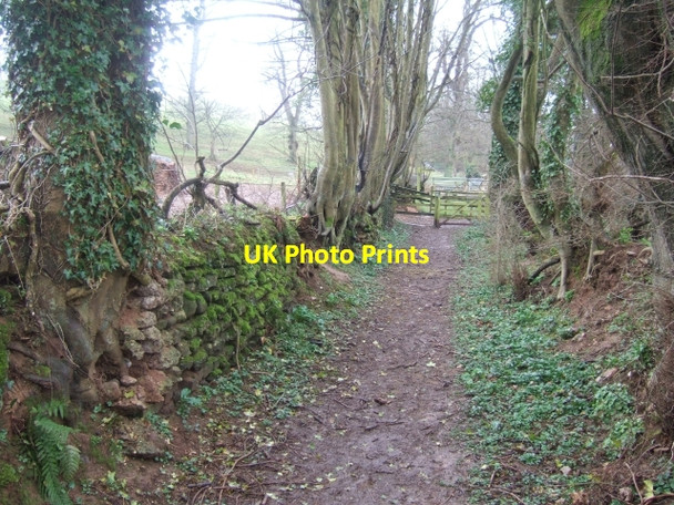 Photo 6"x4" Footpath near Otterton Budleigh Salterton c2010