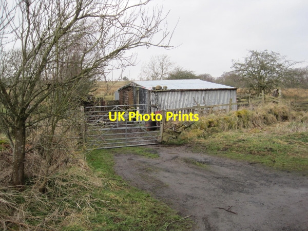 Photo 6"x4" Corrugated Building near Vindolanda Birkshaw\/NY7765 c2010