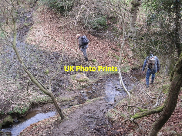 Photo 6"x4" Muddy Footpath through the Bean Burn Birkshaw\/NY7765 c2010