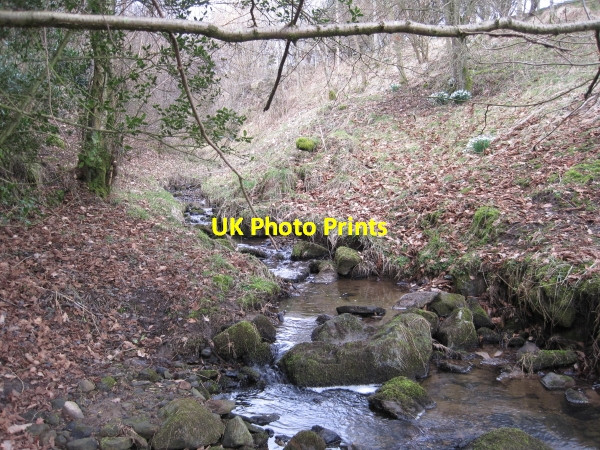 Photo 6"x4" Bean Burn Birkshaw\/NY7765 c2010