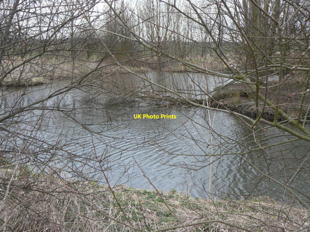 Photo 6"x4" Pond on Barton Moor Gotham\/SK5330 c2010