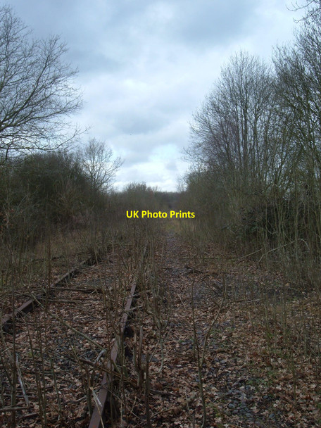 Photo 6"x4" Disused Railway Line Addington\/SP7428 c2010 P1