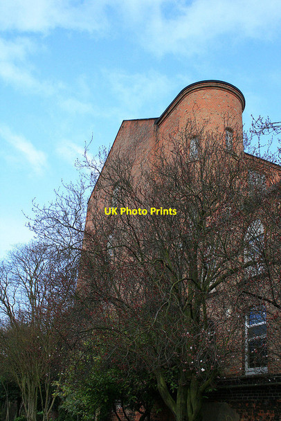 Photo 6"x4" First cherry blossom Long Eaton c2010