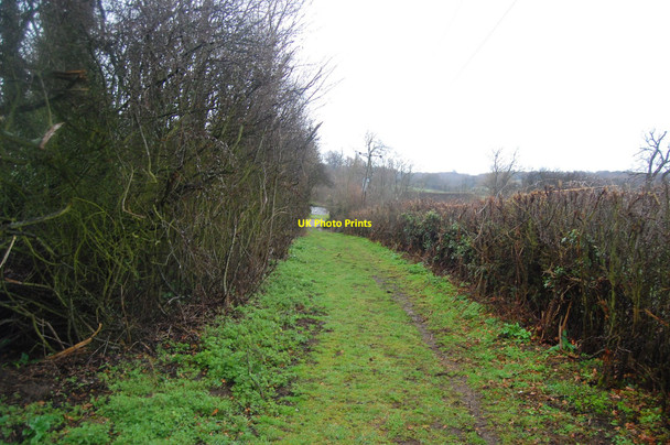 Photo 6"x4" The Essex Way 2 Epping c2010