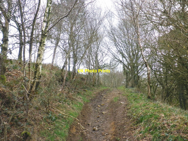 Photo 6"x4" Footpath ascends to North Hill Kerswell\/ST0806 c2010