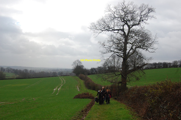Photo 6"x4" The Essex Way 6 Epping c2010