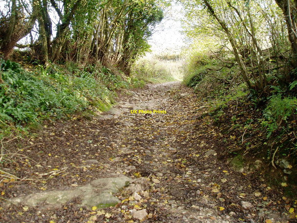 Photo 6"x4" Green Knap Lane Wambrook c2009