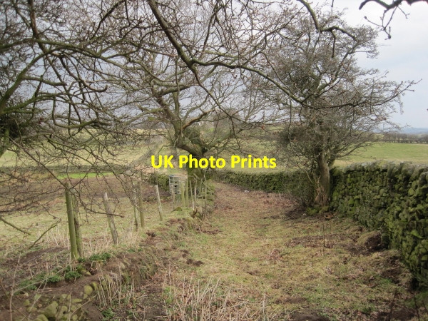 Photo 6"x4" Footpath following an Old Green Lane near Henshaw Henshaw\/NY7664 c2010
