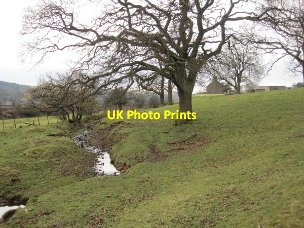 Photo 6"x4" Carrsgate Burn near Woodhall Farm Henshaw\/NY7664 c2010