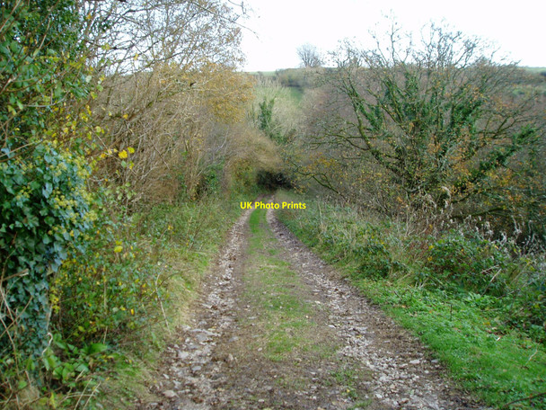 Photo 6"x4" Enclosed track  near Bartletts Higher Wambrook c2009