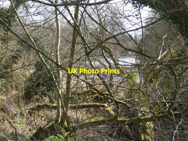 Photo 6"x4" Mill Pool at Offley Mill Outlands c2010