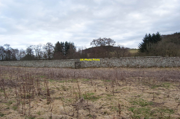 Photo 6"x4" Deer Abbey: the great wall Old Deer c2010