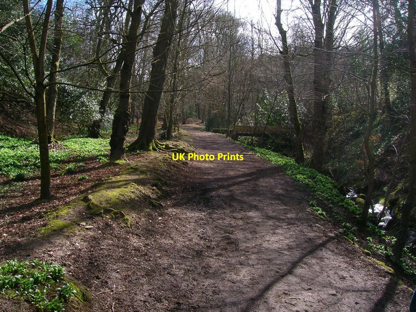Photo 6"x4" Sutton Clough Sutton-in-Craven c2010