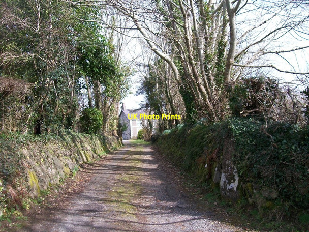 Photo 6"x4" Ynysleci, Llangybi Llanarmon c2010