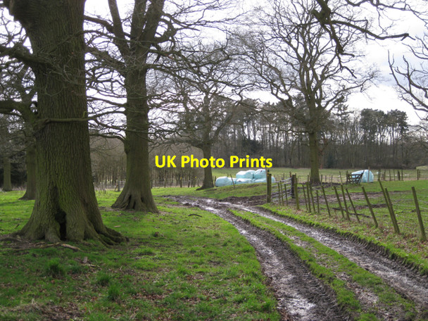 Photo 6"x4" Footpath junction, Wroxall Abbey park Wroxhall c2010