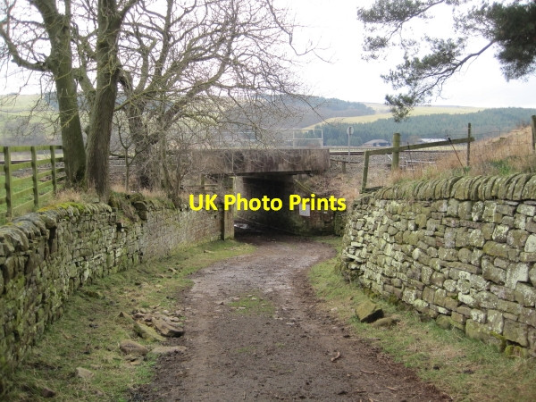 Photo 6"x4" Railway Underpass and Footpath at Woodhall Farm Melkridge c2010