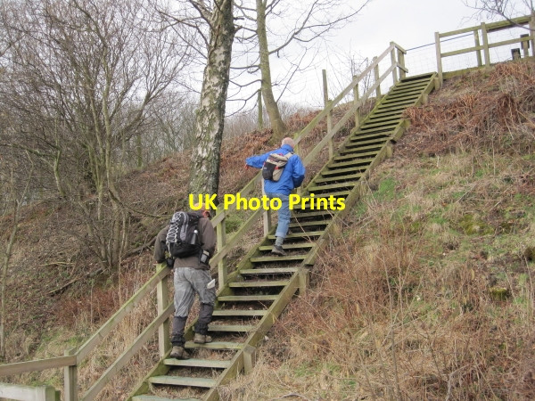Photo 6"x4" Footpath Staircase leading to Horse Close Melkridge c2010