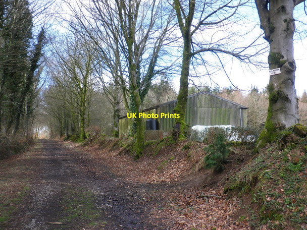 Photo 6"x4" Bridleway, at Forest Glade Saint Hill c2010