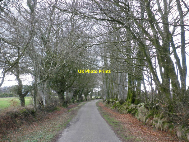 Photo 6"x4" Access road, to Devon and Somerset Gliding Club Slade\/ST1108 c2010