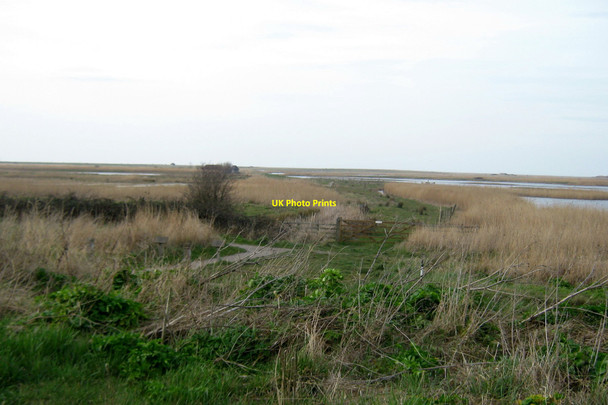 Photo 6"x4" Footpath to Cley Marshes Norfolk Coast Newgate\/TG0543 c2010