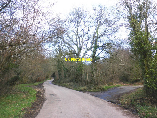 Photo 6"x4" Minor road, towards Stafford Hill Broadhembury c2010