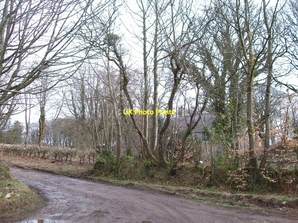 Photo 6"x4" Track leading to the Glasfryn Forest Pencaenewydd\/SH4040 c2010