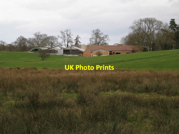 Photo 6"x4" Firs Farm, Haseley Green Haseley Green c2010