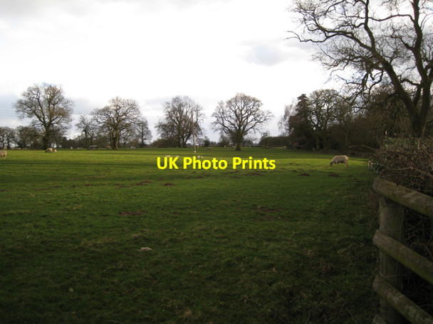 Photo 6"x4" Field east of Firs Farm Haseley Green c2010