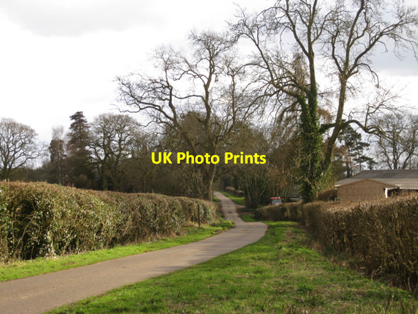 Photo 6"x4" Firs Lane by Firs Farm Haseley Green c2010
