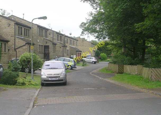 Photo 6"x4" Laurel Park - Lingfield Road Lingbob c2009