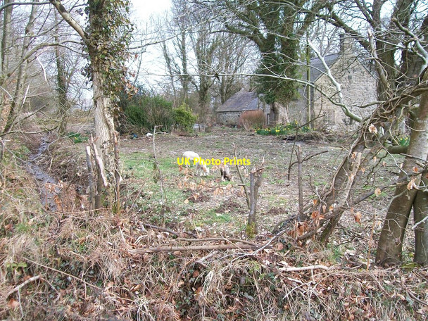 Photo 6"x4" Pant-y-moeliaid Mawr Pencaenewydd\/SH4040 c2010