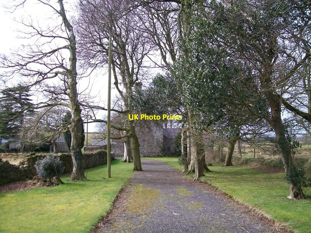 Photo 6"x4" The driveway to Plas Du, Llanarmon Pencaenewydd\/SH4040 c2010