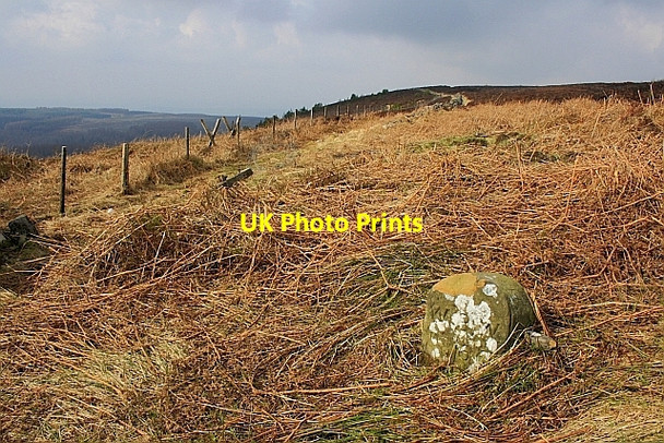 Photo 6"x4" Marker Stone, Black Hambleton Over Silton c2010